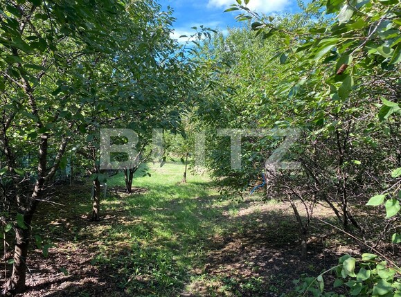 Casa de vânzare 3 camere Someseni - 99688CV | BLITZ Cluj-Napoca | Poza9