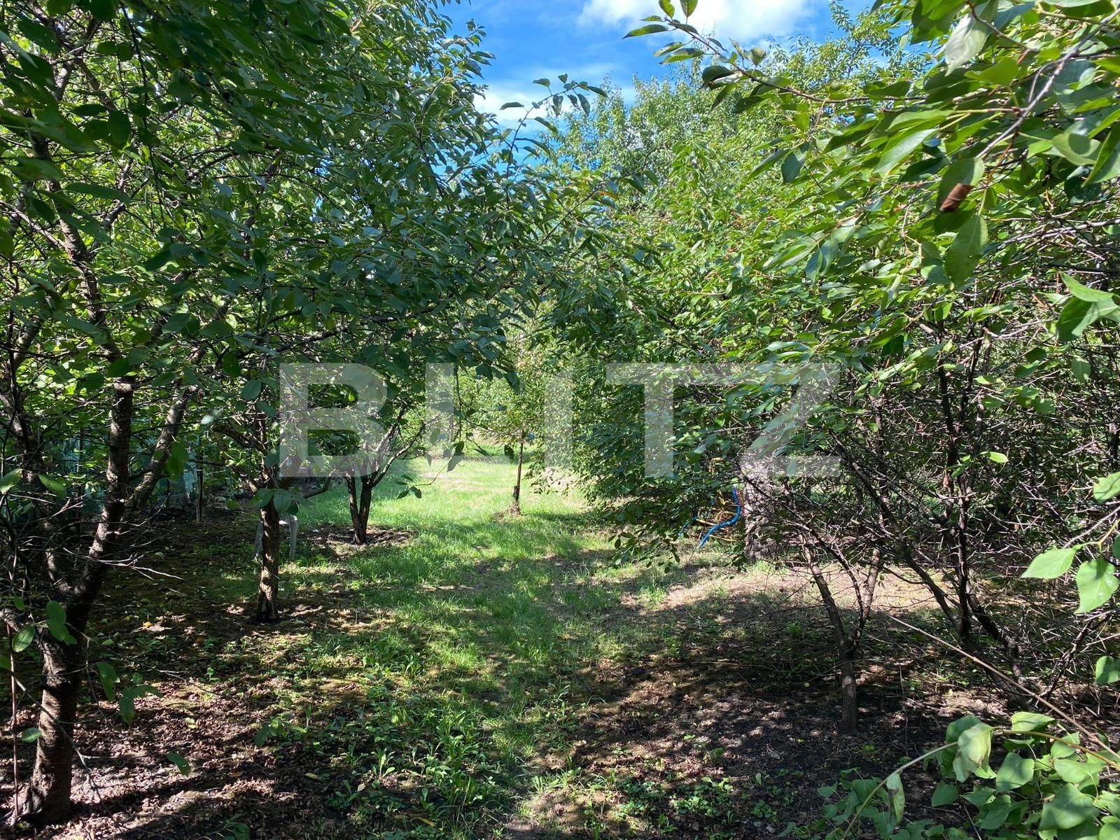 Casa de vânzare 3 camere Someseni - 99688CV | BLITZ Cluj-Napoca | Poza9