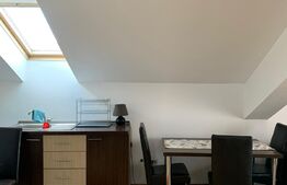 Apartament tip loft, 40 mp, Bună Ziua