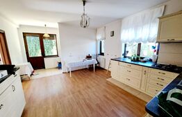 Vila de lux, ultrafinisata, 8 camere, 516 mp teren, Andrei Muresanu