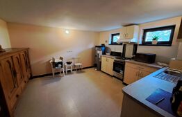 Vila de lux, ultrafinisata, 8 camere, 516 mp teren, Andrei Muresanu