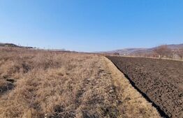 Teren intravilan, 6800 mp, Jucu