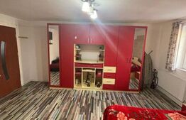 Garsoniera spatioasa, decomandat, 50mp, zona USAMV Platinia