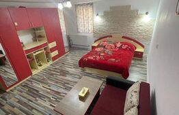 Garsoniera spatioasa, decomandat, 50mp, zona USAMV Platinia