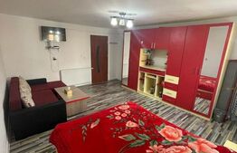 Garsoniera spatioasa, decomandat, 50mp, zona USAMV Platinia