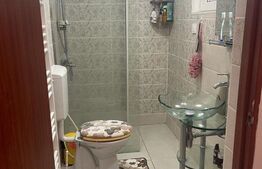 Garsoniera spatioasa, decomandat, 50mp, zona USAMV Platinia