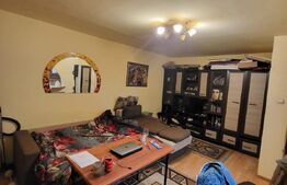 Garsonieră decomandată, etaj intermediar, 42 mp, Calea Mănăștur