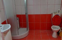 Casa individuala, 250 mp utili, 600 mp teren,zona centrala, Turda