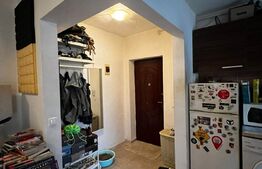 Apartament 2 camere, etaj intermediar, zona Vivo