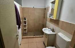 Apartament 2 camere, etaj intermediar, zona Vivo