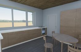 Casa noua, teren intravilan 11.770 mp, Vintu de Jos