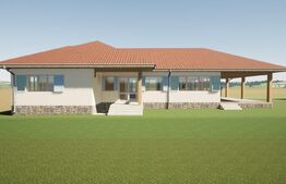 Casa noua, teren intravilan 11.770 mp, Vintu de Jos