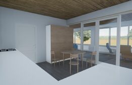 Casa noua, teren intravilan 11.770 mp, Vintu de Jos