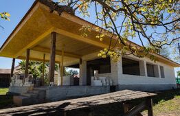 Casa noua, teren intravilan 11.770 mp, Vintu de Jos