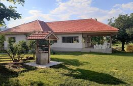 Casa noua, teren intravilan 11.770 mp, Vintu de Jos