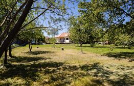 Casa noua, teren intravilan 11.770 mp, Vintu de Jos