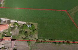 Casa noua, teren intravilan 11.770 mp, Vintu de Jos