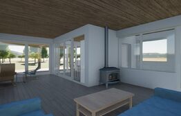 Casa noua, teren intravilan 11.770 mp, Vintu de Jos