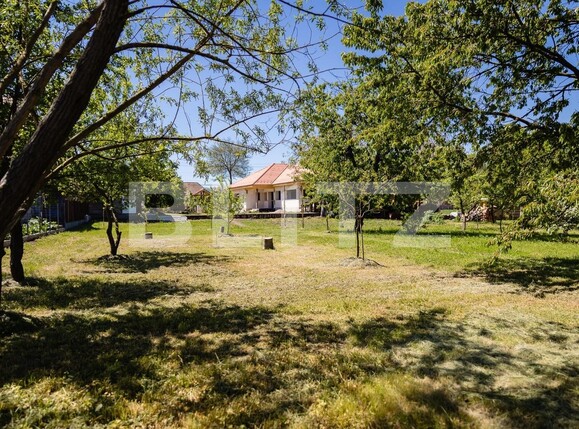 Casa de vânzare 3 camere Vinţu de Jos - 100048CV | BLITZ Alba Iulia | Poza18