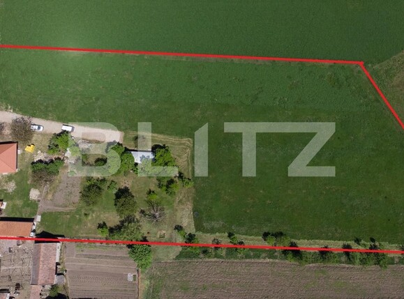 Casa de vânzare 3 camere Vinţu de Jos - 100048CV | BLITZ Alba Iulia | Poza6