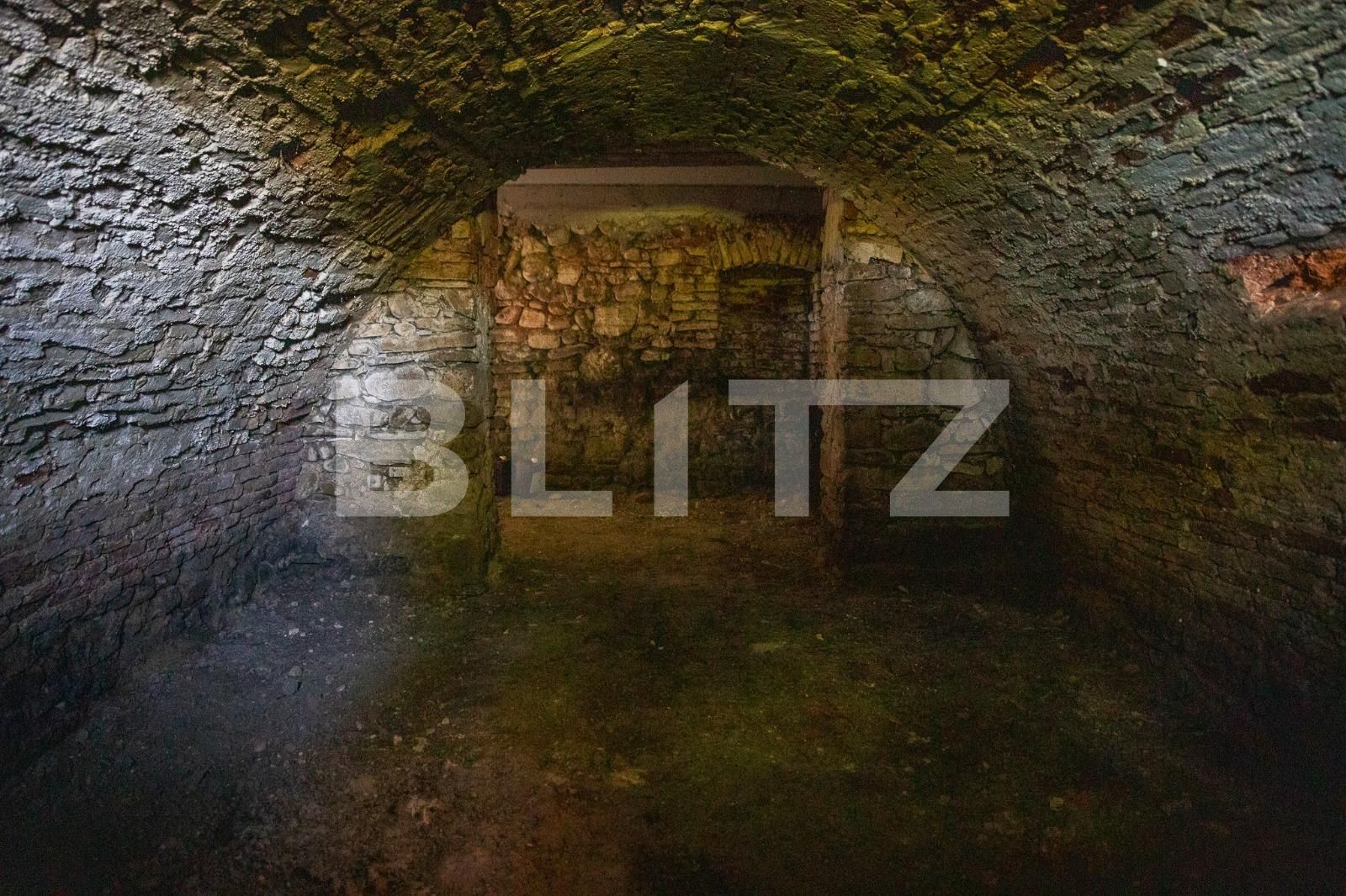 Casa de vânzare 3 camere Vinţu de Jos - 100048CV | BLITZ Alba Iulia | Poza16