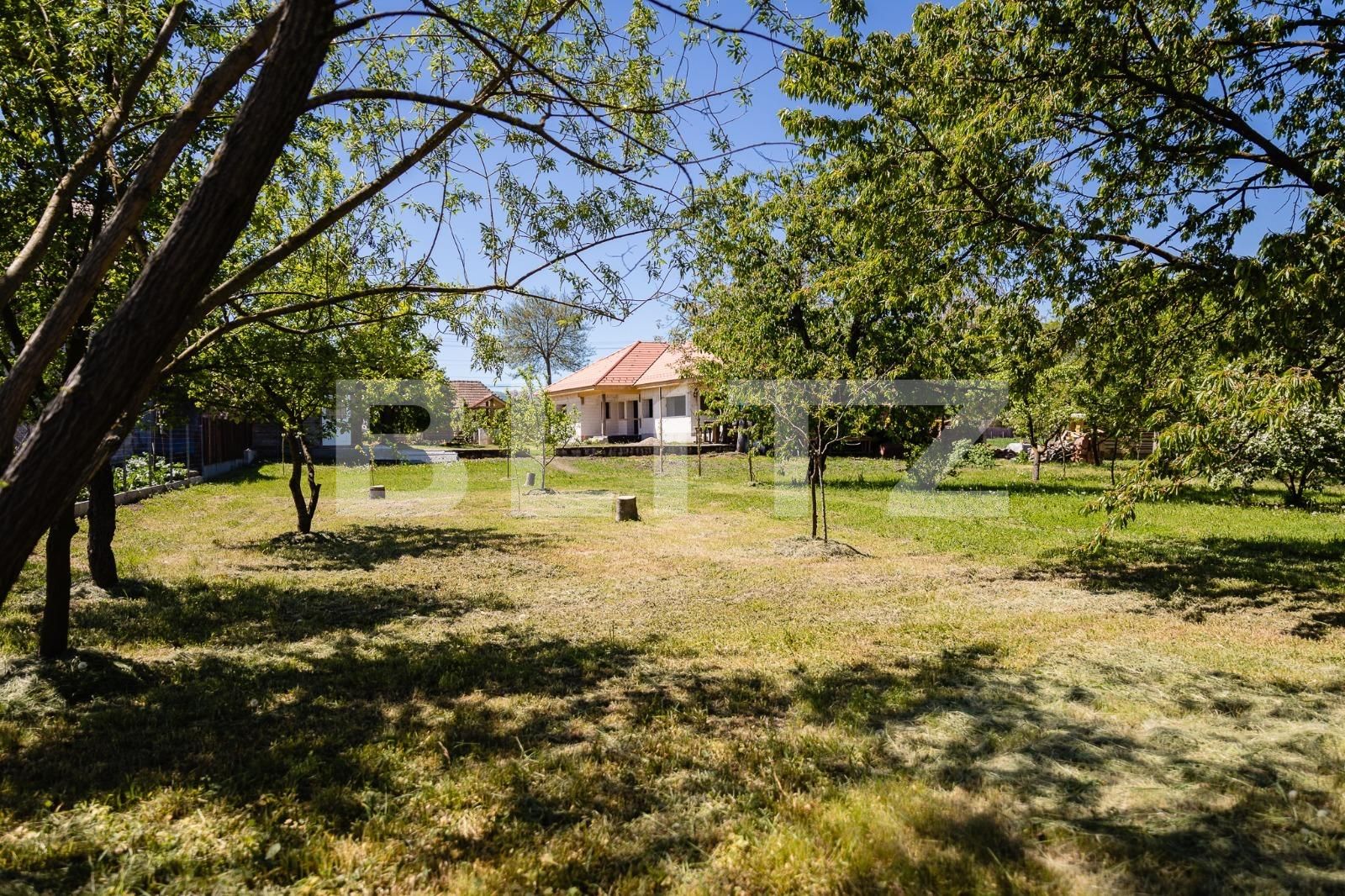 Casa de vânzare 3 camere Vinţu de Jos - 100048CV | BLITZ Alba Iulia | Poza18