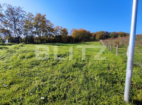 Teren de vânzare Nord Est - 100186TV | BLITZ Alba Iulia | Poza1