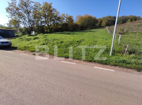 Teren de vânzare Nord Est - 100186TV | BLITZ Alba Iulia | Poza3