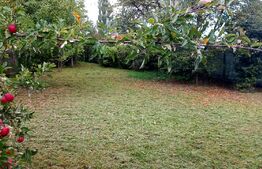 Teren intravilan, 595 mp, zona Poligon