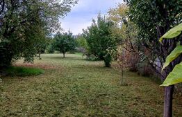 Teren intravilan, 595 mp, zona Poligon