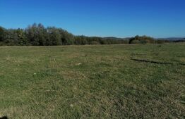 Teren intravilan 17.000mp, in localitatea Sard