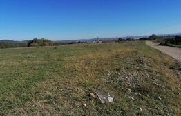 Teren intravilan 17.000mp, in localitatea Sard