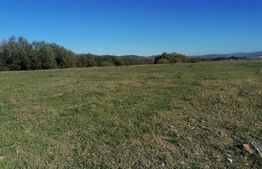 Teren intravilan 17.000mp, in localitatea Sard