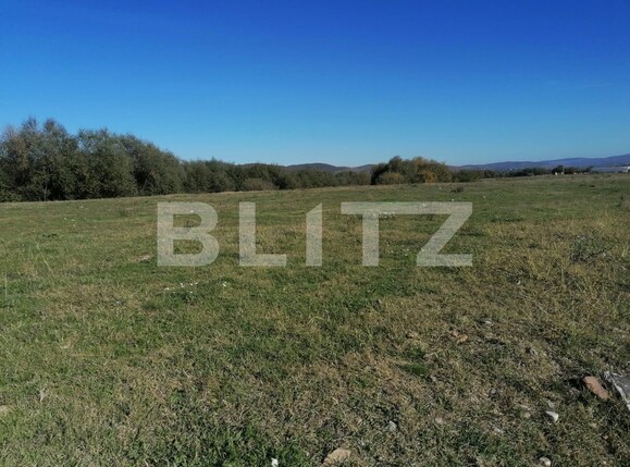 Teren de vânzare Exterior Nord - 100206TV | BLITZ Alba Iulia | Poza2