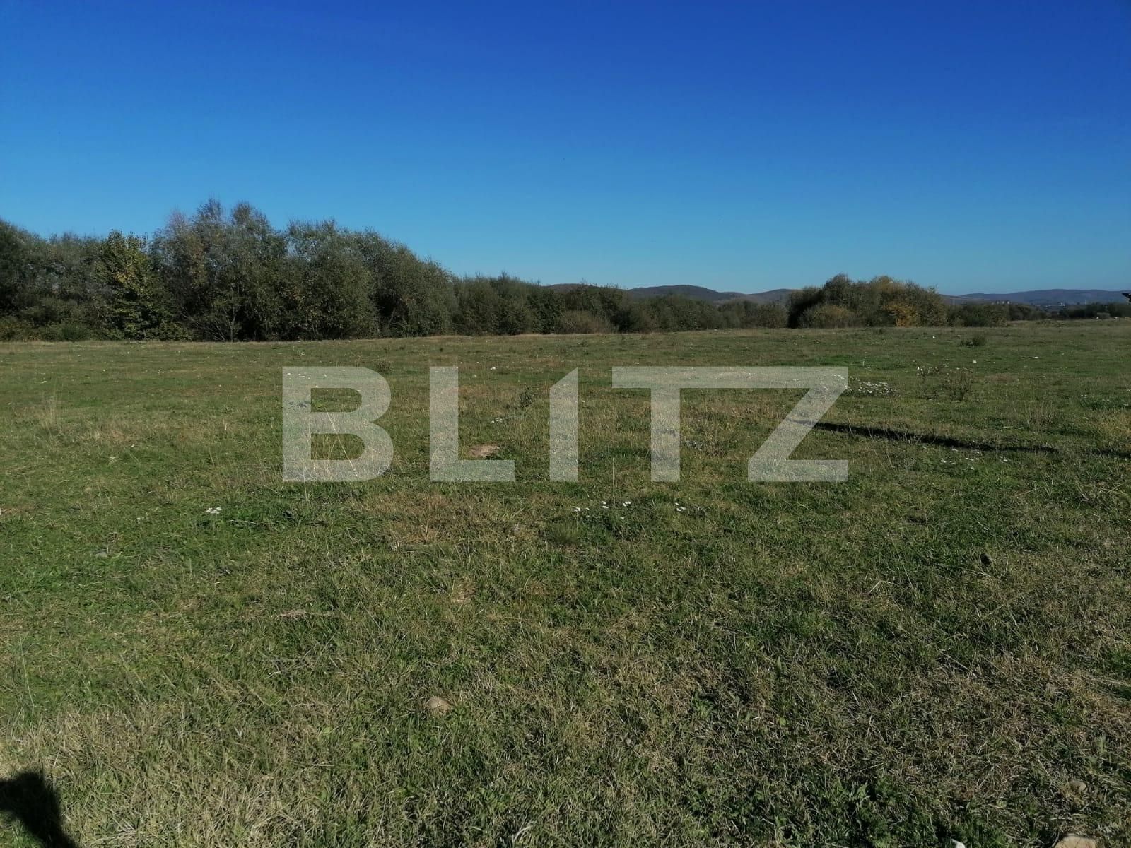 Teren de vânzare Exterior Nord - 100206TV | BLITZ Alba Iulia | Poza3