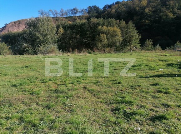Teren de vânzare Exterior Nord - 100208TV | BLITZ Alba Iulia | Poza1