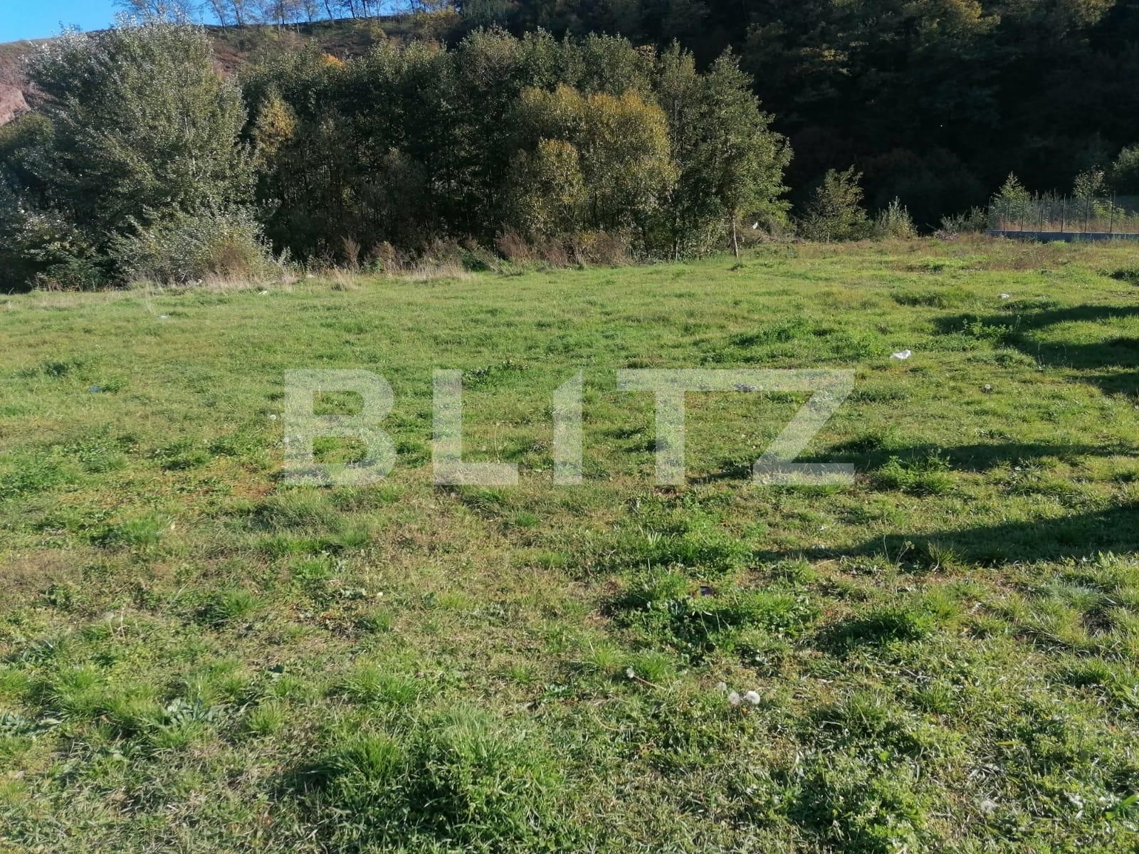 Teren de vânzare Exterior Nord - 100208TV | BLITZ Alba Iulia | Poza3