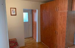 Apartament 2 camere, 50 mp, zona Cetate