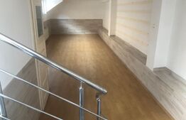 Spatiu comercial 44mp la demisol pe Bulevardul Revolutiei