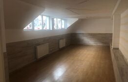 Spatiu comercial 44mp la demisol pe Bulevardul Revolutiei