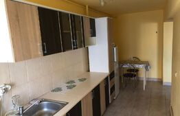 Garsoniera incapatoare, renovata, 32 mp, zona Cetate