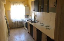 Garsoniera incapatoare, renovata, 32 mp, zona Cetate