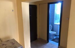 Garsoniera incapatoare, renovata, 32 mp, zona Cetate