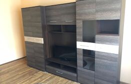 Garsoniera incapatoare, renovata, 32 mp, zona Cetate