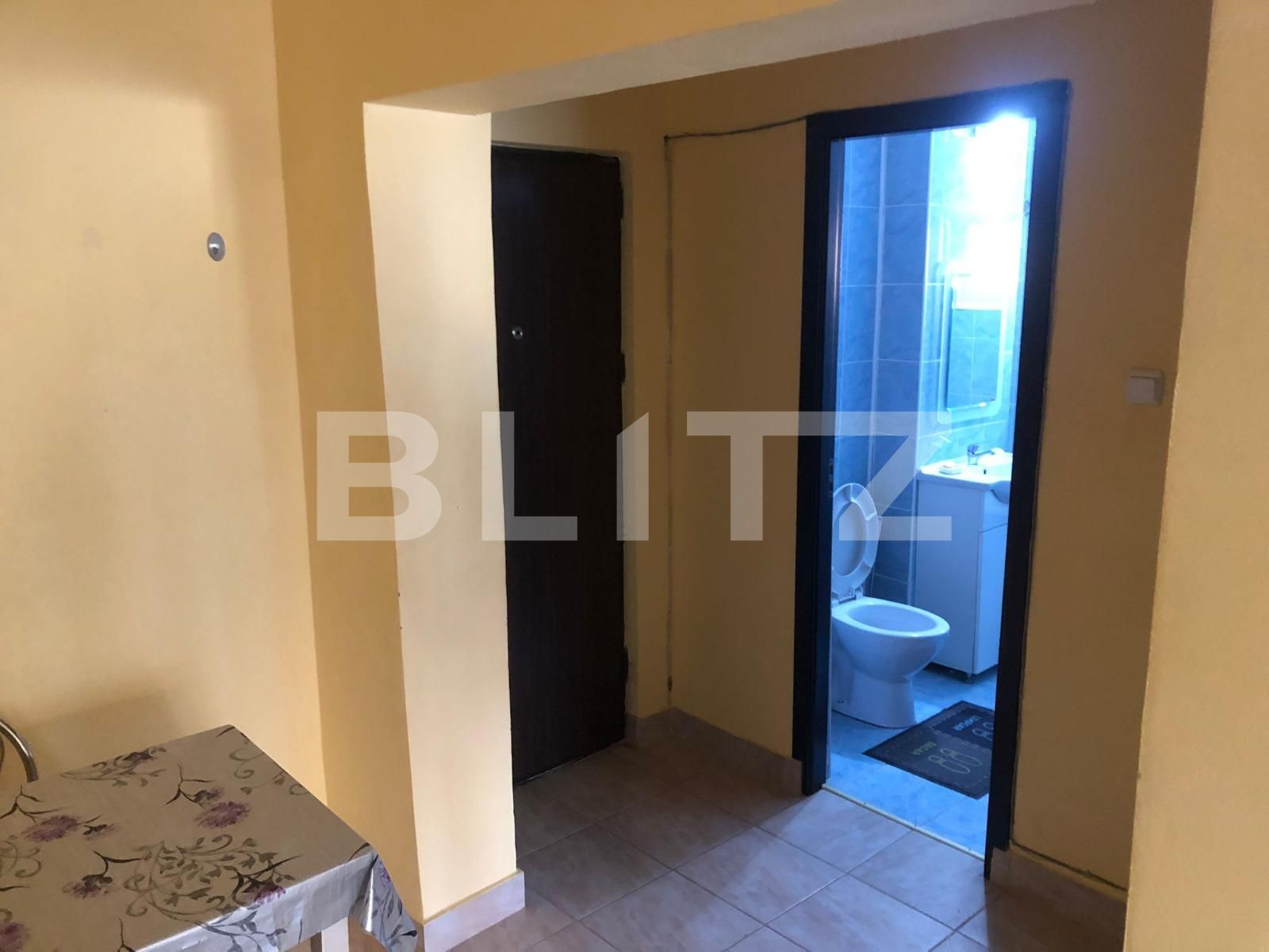 Garsonieră de închiriat Cetate - 100760AI | BLITZ Alba Iulia | Poza6