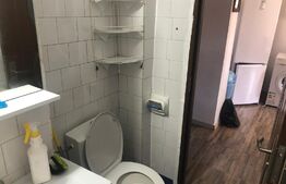 Garsoniera de 32 mp, balcon, renovata, in zona Cetate