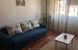 Garsoniera de 32 mp, balcon, renovata, in zona Cetate