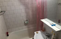 Garsoniera de 32 mp, balcon, renovata, in zona Cetate