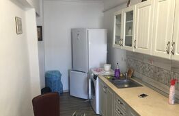 Garsoniera de 32 mp, balcon, renovata, in zona Cetate