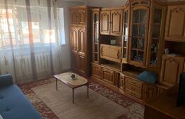 Garsoniera de 32 mp, balcon, renovata, in zona Cetate